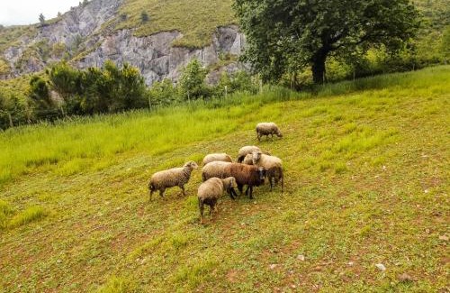 Aieta Casa | Agriturismo Terrerosse Di Massadita