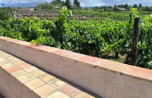 Santa Maria di Licodia Cama Y Desayuno | Agriturismo Travaglianti Alloggio Etna