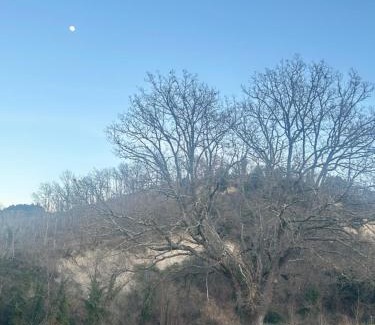 Vergelle Casa | Agriturismo Val di Tufo