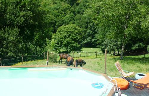 Cabeceiras de Basto Casa | AgroFarm with Animals - Qta Entre Sebes