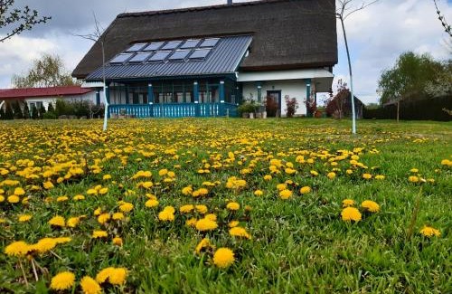 Gorgova Casa | Agropensiunea Beluga