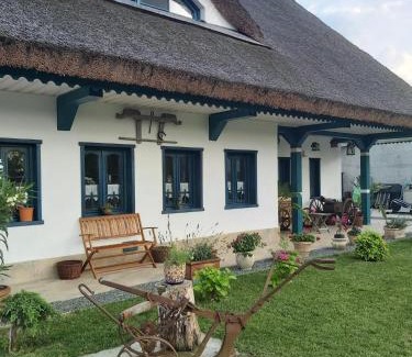 Gorgova Casa | Agropensiunea Beluga