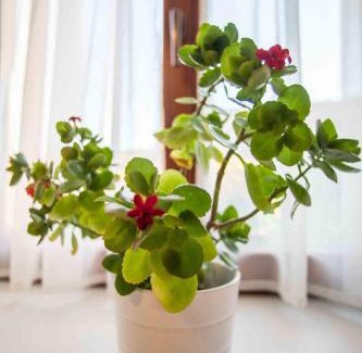 Malikovice Casa | Agropenzion U Bartousku