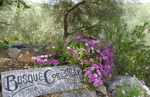 Esporles Casa | Agroturismo Can Torna AG178