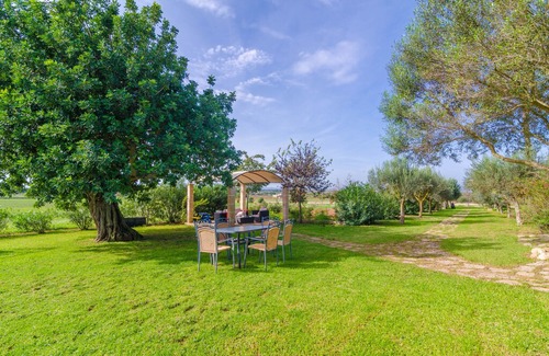 Manacor Apartamento | Agroturismo Es Pla De Llodra (Sa Soll)