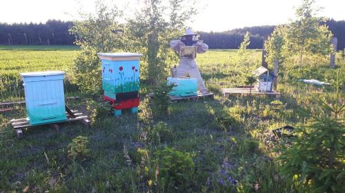 Dobiegniew Apartamento | Agroturystyka Dzika Łąka apartament