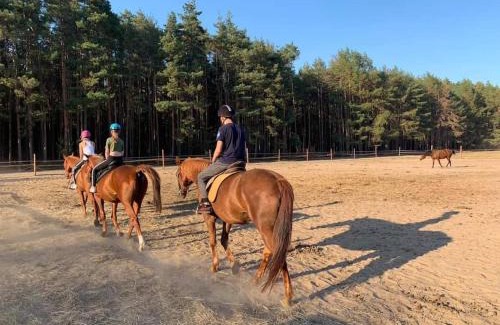 Sierakow Casa | Agroturystyka Gawra Chorzępowo Sieraków Puszcza Notecka
