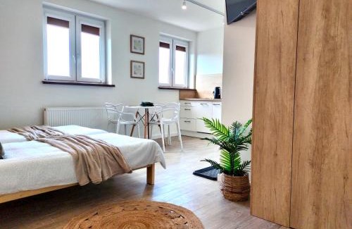 Beczkow Casa | Agroturystyka Jodłowa - rodzinne apartamenty w centrum Gór Świętokrzyskich - sala zabaw, zwierzęta, bilard