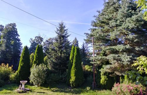 Szczytna Casa | Agroturystyka Nad Cichą