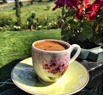 Yenisehir Chalet De Esquí | AHŞAP EV, DOĞAL YAŞAM, MÜKEMMEL DOĞA, KUŞ SESLERİ