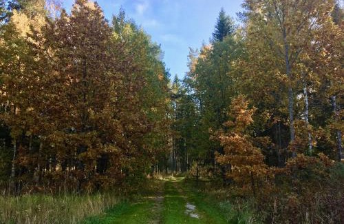 Polva County Casa | Ahja puhkemaja