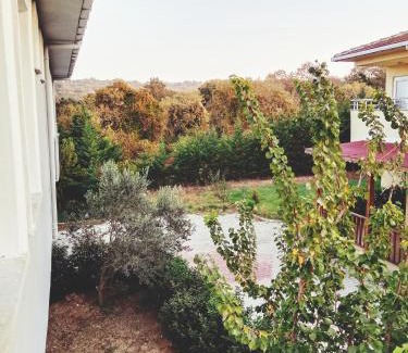 Arnavutkoy Cabina | Ahmet Teacher's villa is 6 minutes from Istanbul airport