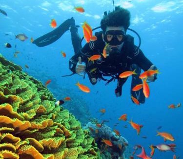 El Hadaba Hotel | Aida Hotel Sharm El Sheikh