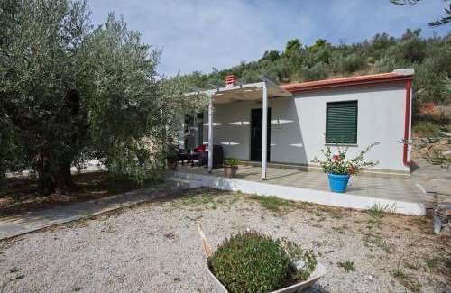 Alonissos Casa | Aigaio Villa Between the Aegean Blue and Olive Grove