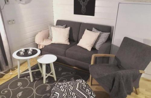 Yllasjarvi Apartamento | Aikku cabin in the heart of Lapland, free Lapin Kota, Budget week