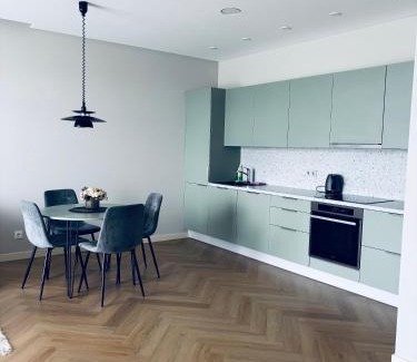 Panevezys Apartamento | Ainių gatvės apartamentai