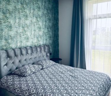 Panevezys Apartamento | Ainių gatvės apartamentai