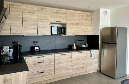 Illkirch-Graffenstaden Apartamento | Air-conditioned Apartment with terrace