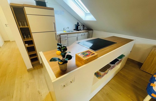 Sinzenich Apartamento | Air-conditioned Holiday Apartment near the Lake