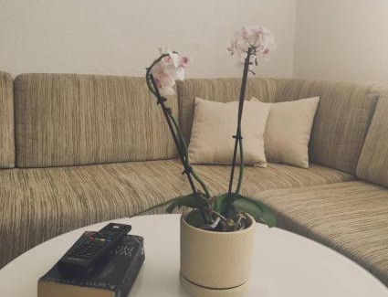 Jajce Apartamento | Ajsha Guesthouse