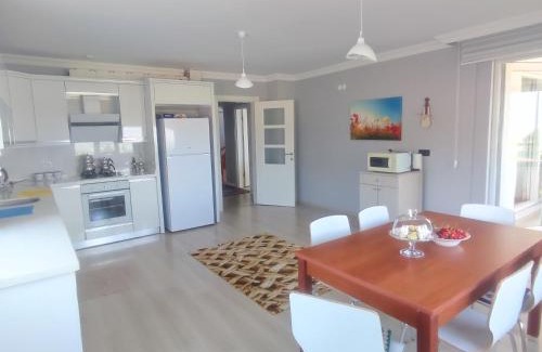 Bolu Villa | Akkayalar Aerie House