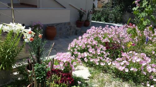 Koroni Apartamento | Akti Zaga Apartments