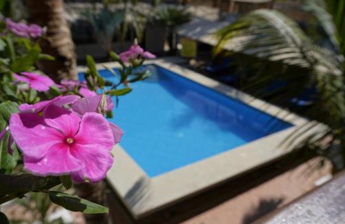 Máncora Hotel | Akumal Hotel