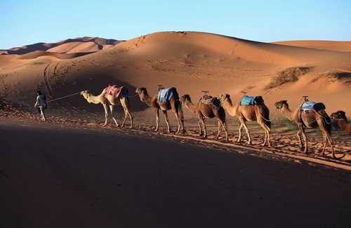 M'Hamid El Ghizlane Cabina | Akwabir Eco Camp