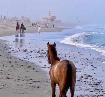 Al Ashkharah Casa | Al Ashkhara Beach House