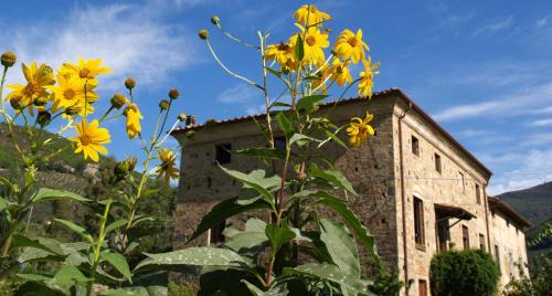 Calci Casa | Al Palazzaccio