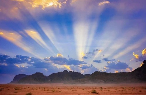 Wadi Rum Hotel | AL Reem Desert Camp