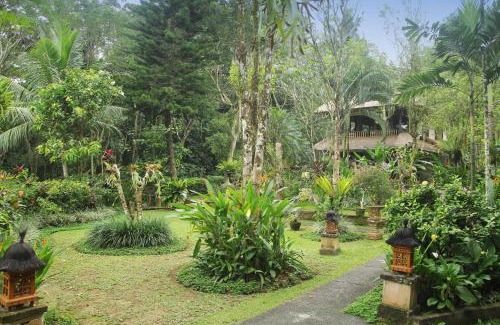 Nyuh Kuning Complejo | Alam Indah Ubud