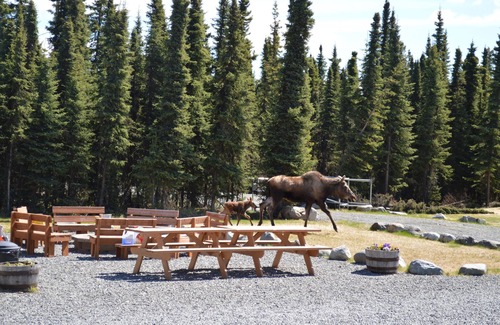 Sterling Cabina | Alaska Red Fish Lodge Furnished Cabin #3