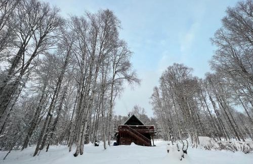 Susitna North Casa | Alaskan Wild Rose Retreat