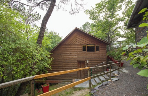 Kandaghat Chalet De Esquí | Alaya Stays Suro Woodcrest Chalet