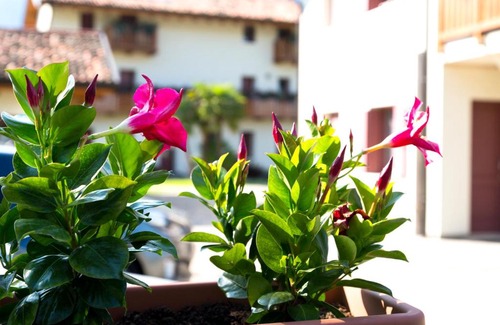 Polcenigo Apartamento | Albergo Diffuso Polcenigo B.Vittorio