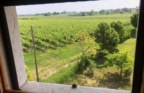 Lazise Hotel | Albergo Mio Boutique Hotel - Adults Only