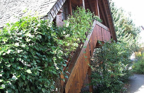 Huefingen Apartamento | Apartamento Albergo Natura en Hüfingen - 2 personas, 1 dormitorios