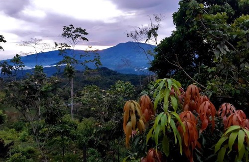 Pacuare Reserve Casa | Albergue Las Colinas