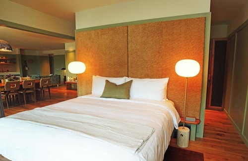 Fredericksburg Hotel | Albert Suite, The Albert Hotel | Spa Access, Firepits & Historic Setting
