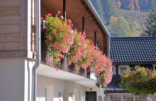 St. Blasien Apartamento | Albhof Am Wasserfall