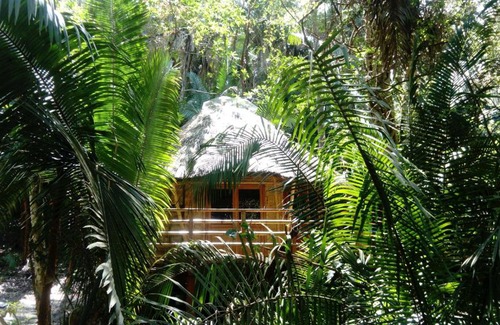 San Francisco Cabina | Aldea Bamboo Village