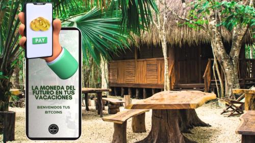 Puerto Morelos Otro | Aldea Maya-Ha Cabañas con cenotes