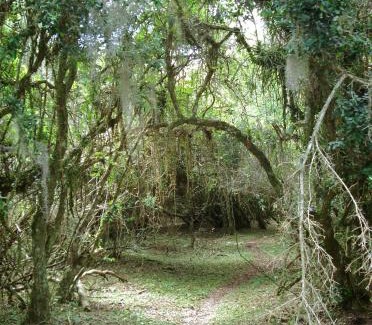 Tavares Casa | Aldeia Santuario das Aves
