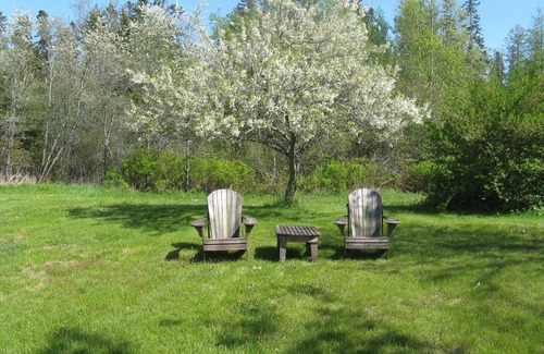 Bernard Apartamento | Aldernest Loft - 'Quietside' de Mount Desert Island / Parque Nacional Acadia