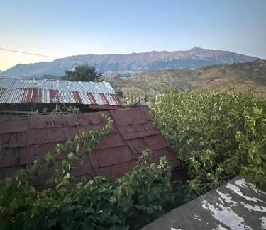 Gjirokaster Villa | Aldi's house