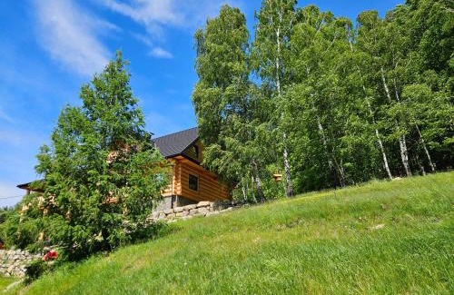 Przesieka Villa | AleBale Przesieka luksusowy dom z bali z widokiem na Karkonosze