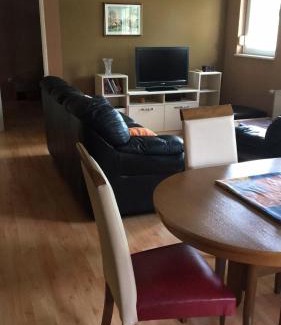 Pancevo Apartamento | Aleksandar Apartment