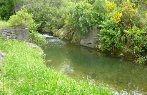 Picton Complejo | Alexanders Holiday Park