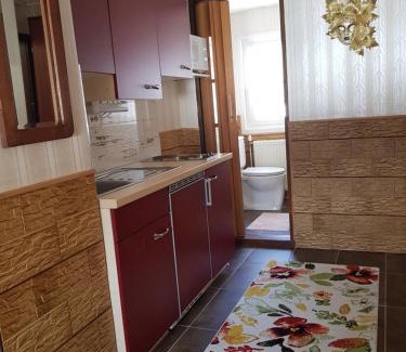 Mitterberg Apartamento | Alexandra Appartement